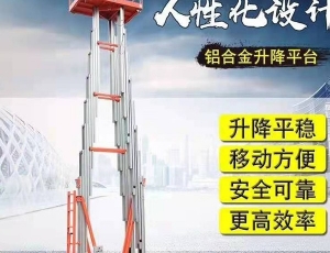 苏州双桅铝合金升降机   生产厂家